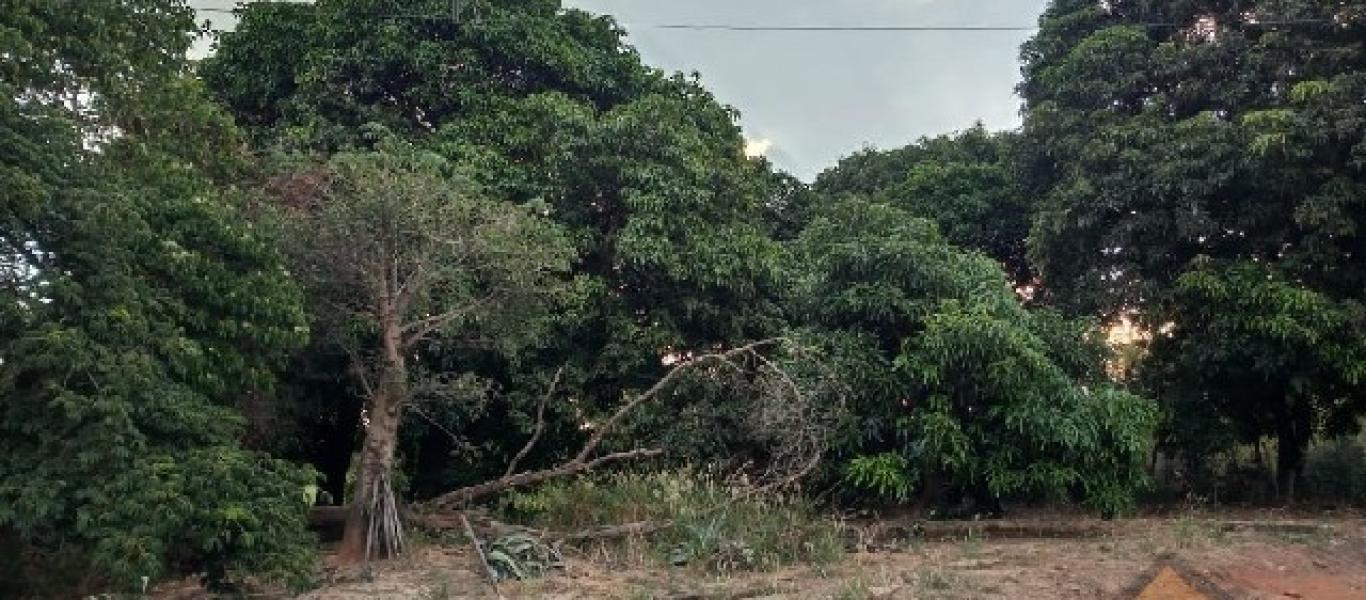 CHÁCARA NO Parque Universitário em Assis