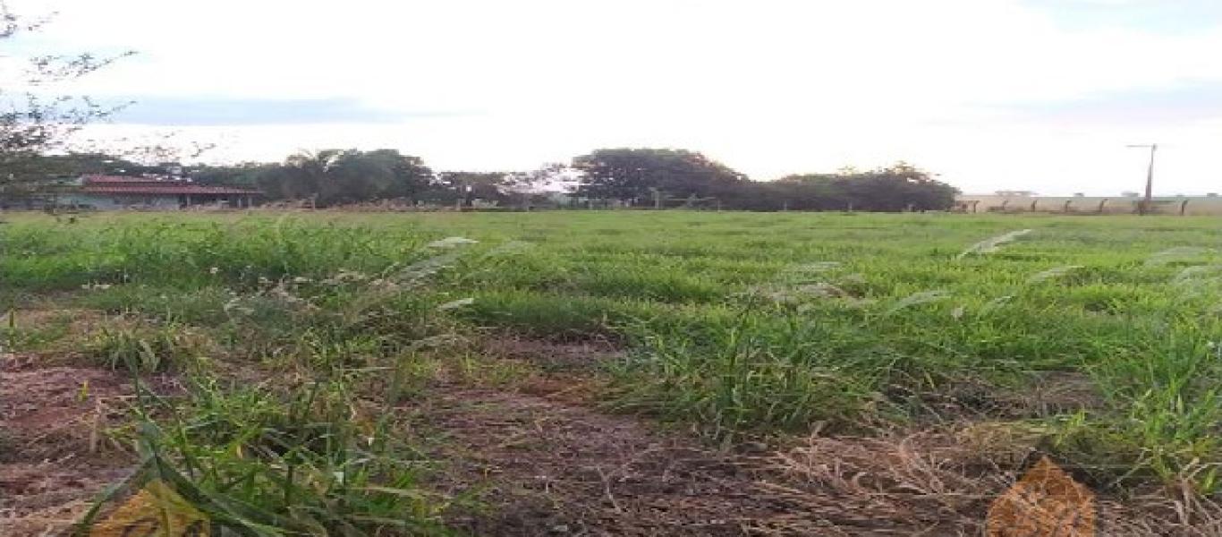 TERRENO NA VILA BELLA em CANDIDO MOTA