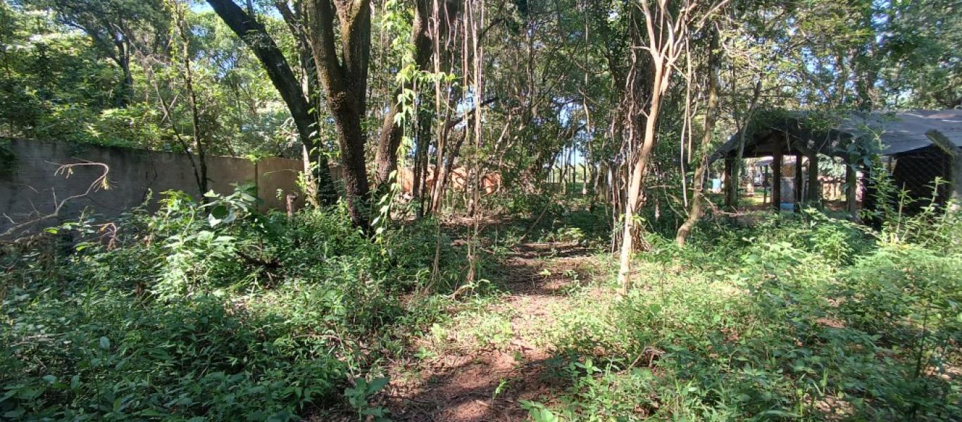 CHÁCARA NO JARDIM REZENDE em ASSIS