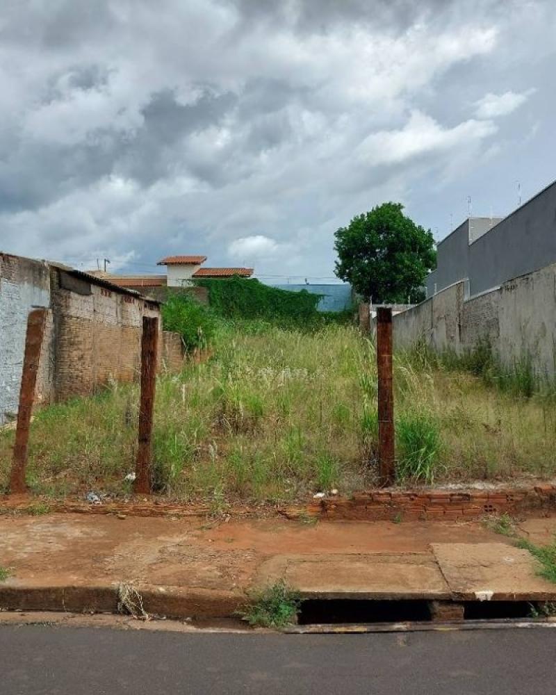 TERRENO NA Centro em Assis