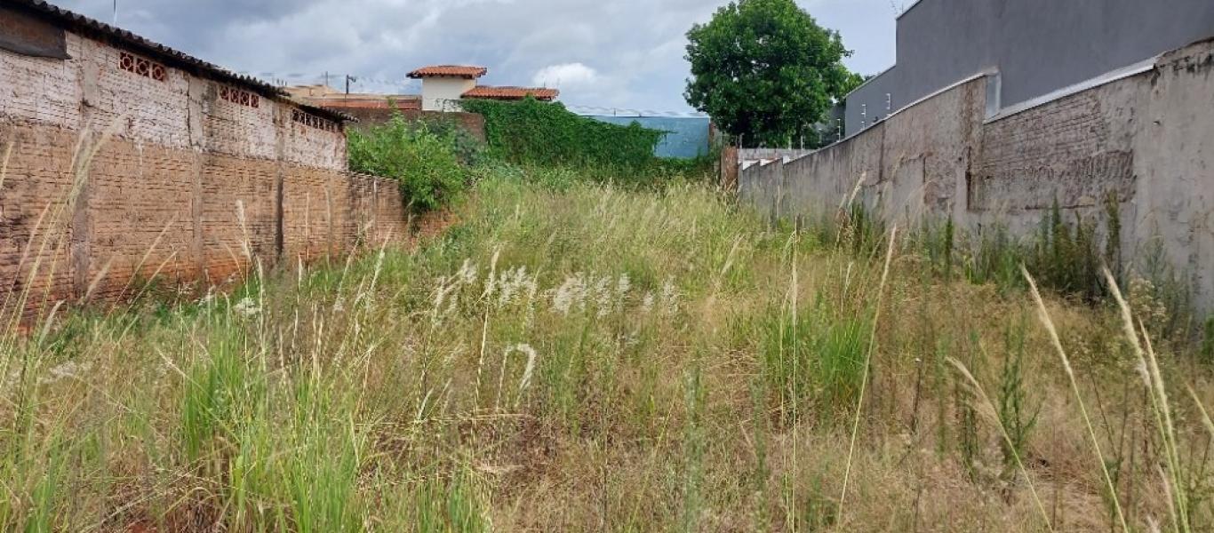 TERRENO NA Centro em Assis