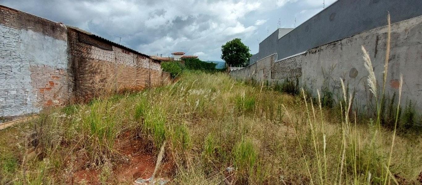 TERRENO NA Centro em Assis