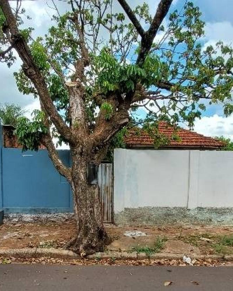 TERRENO NO Centro em Assis