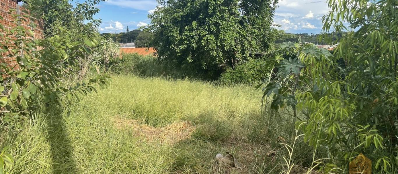 TERRENO NA Vila Xavier em Assis