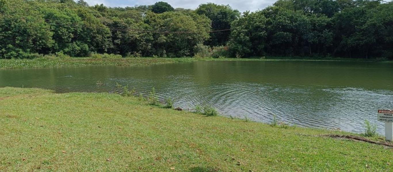 CHÁCARA NA PORTO ALMEIDA em CANDIDO MOTA