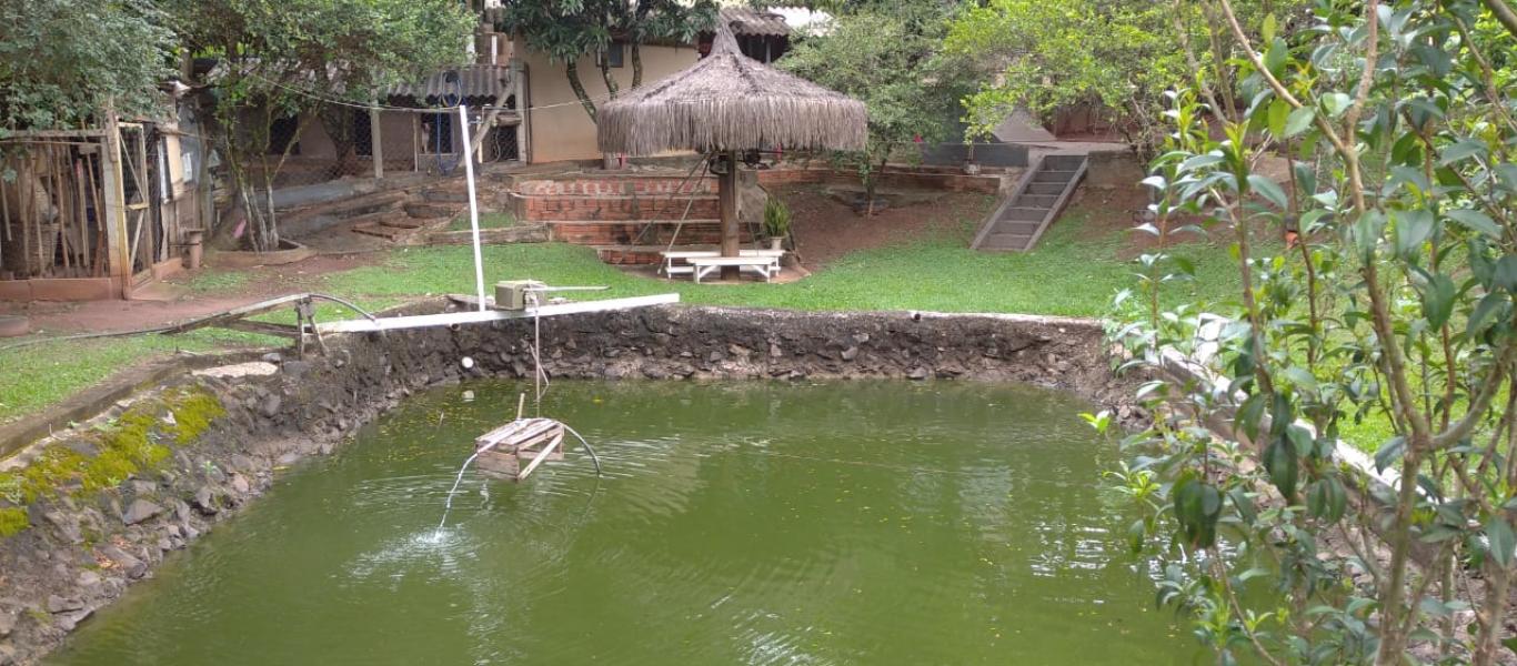 CHÁCARA NA AGUA OLEO em ASSIS