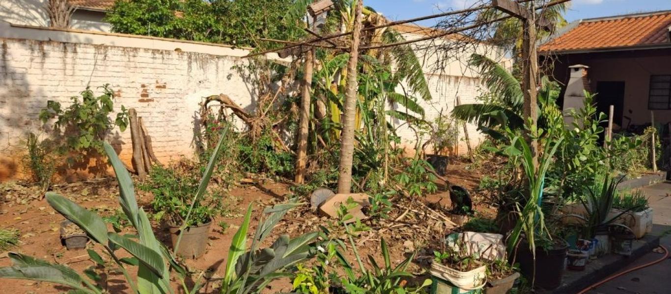 CASA NO Jardim Paulista em Assis
