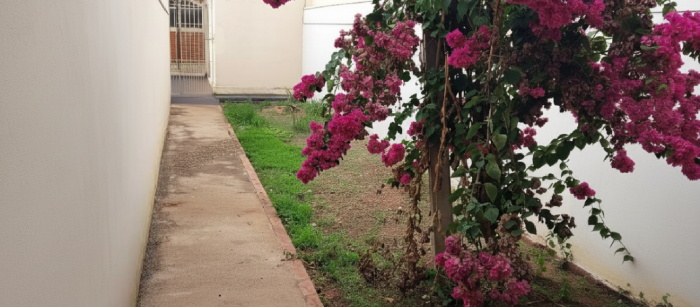 CASA NA Vila Ribeiro em Assis