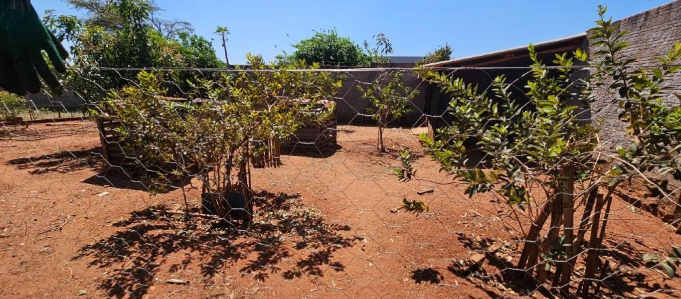 CHÁCARA NO Residencial Santa Luzia em Assis