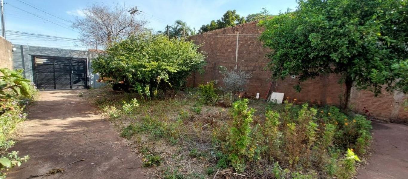 CASA NA VILA RIBEIRO em Assis