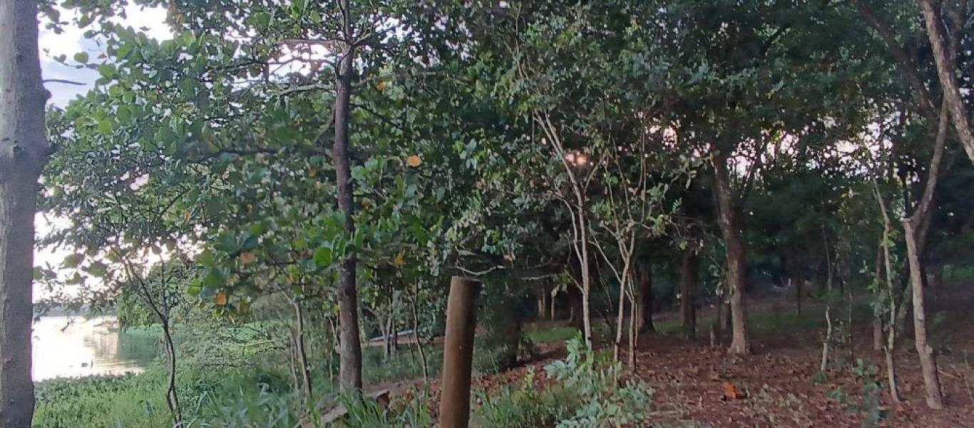 RANCHO NA ILHA BELA em CÂNDIDO MOTA