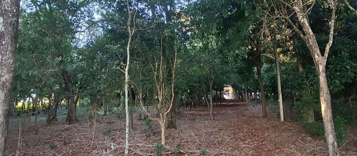 RANCHO NA ILHA BELA em CÂNDIDO MOTA