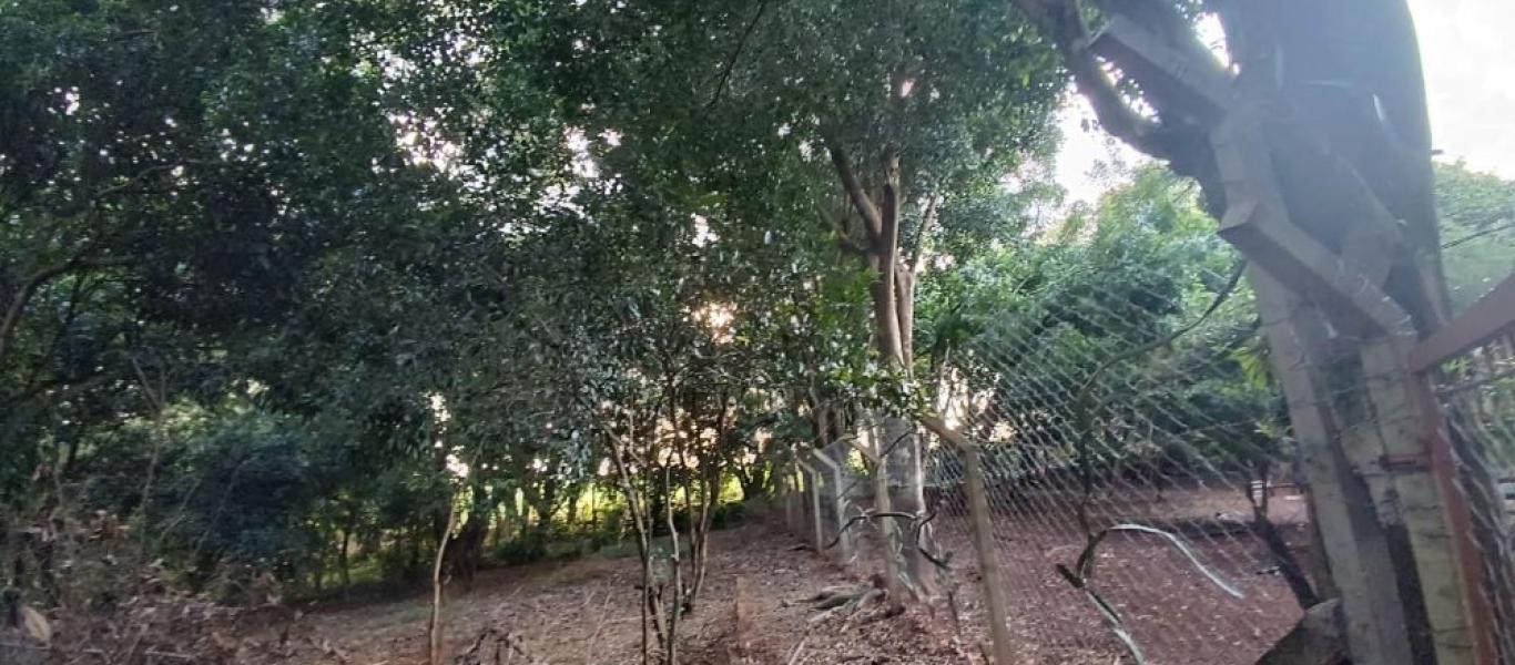 RANCHO NA ILHA BELA em CÂNDIDO MOTA