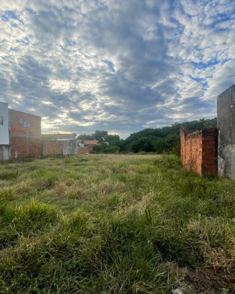 TERRENO NO Jardim Paraná em Assis