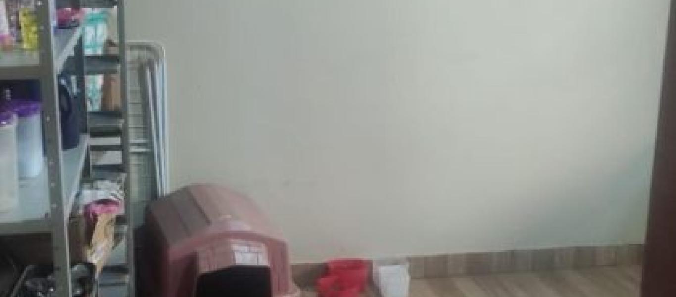CASA NA VILA DA ÁRVORES em Tarumã