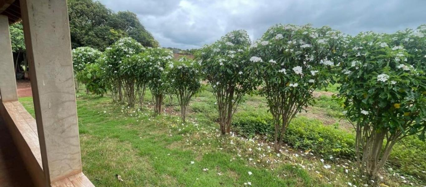 CHÁCARA NA ÁGUA DO CERVO em ASSIS