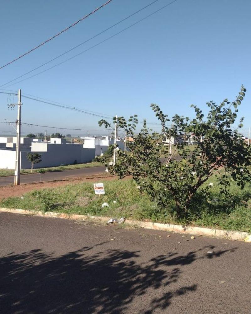 TERRENO No Jardim Sul em Assis