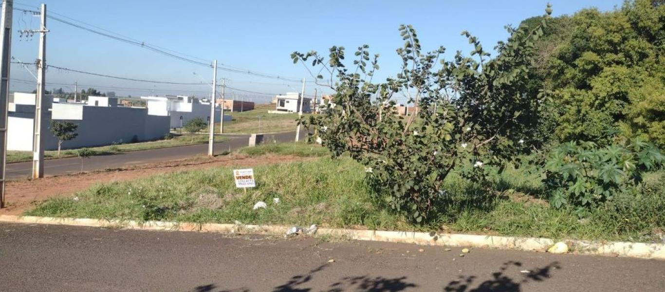 TERRENO NA Vila Xavier em Assis