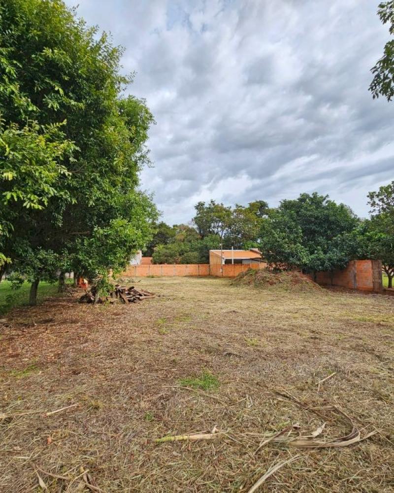 TERRENO NA CERVINHO em ASSIS