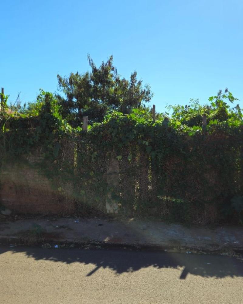 TERRENO NA BANDEIRAS em SÃO PAULO
