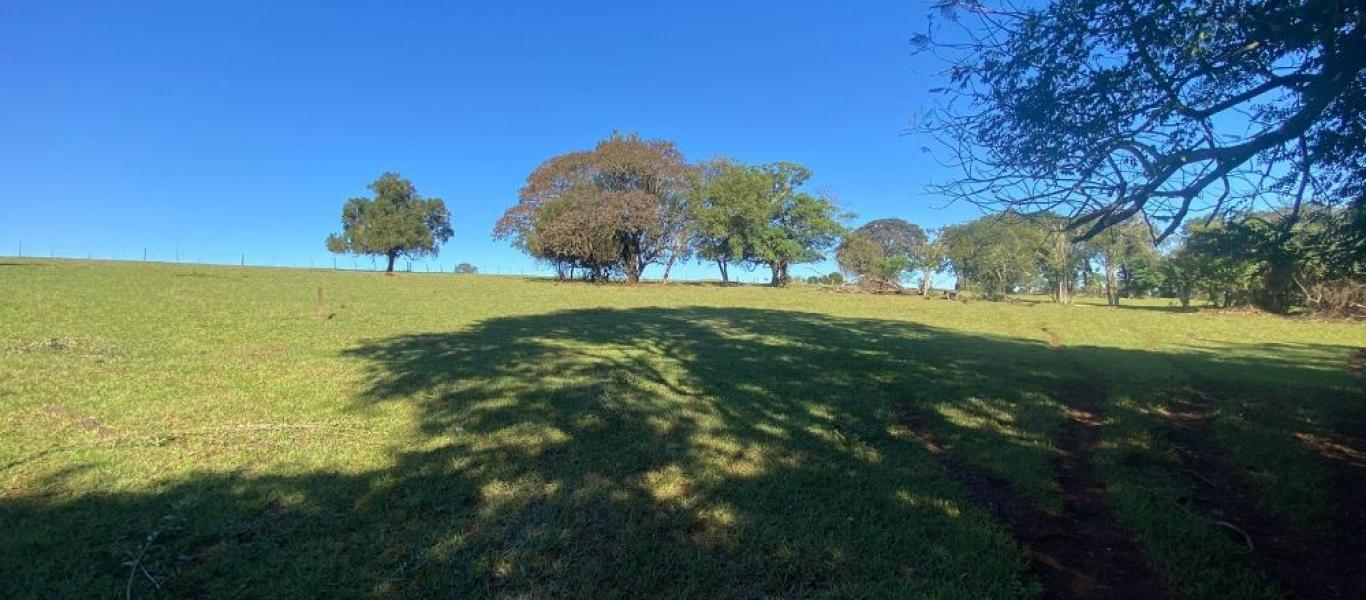 TERRENO NA ÁGUA DA PIRAPITINGA em CÂNDIDO MOTS