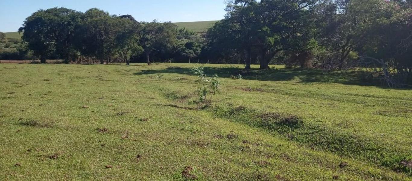 TERRENO NA ÁGUA DA PIRAPITINGA em CÂNDIDO MOTS