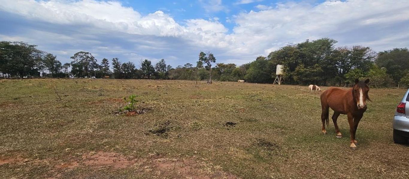 CHÁCARA NA RANCHO MÉXICO em Assis