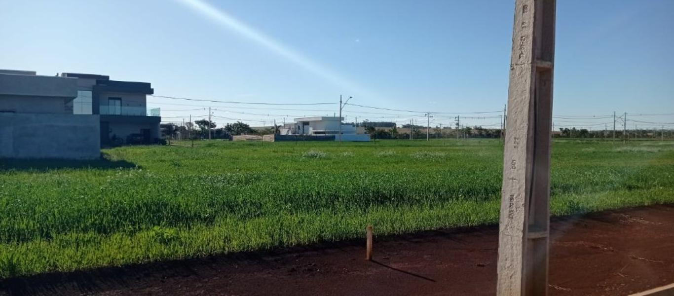 TERRENO NA TERRAS DE VITÓRIA em CÂNDIDO MOTA