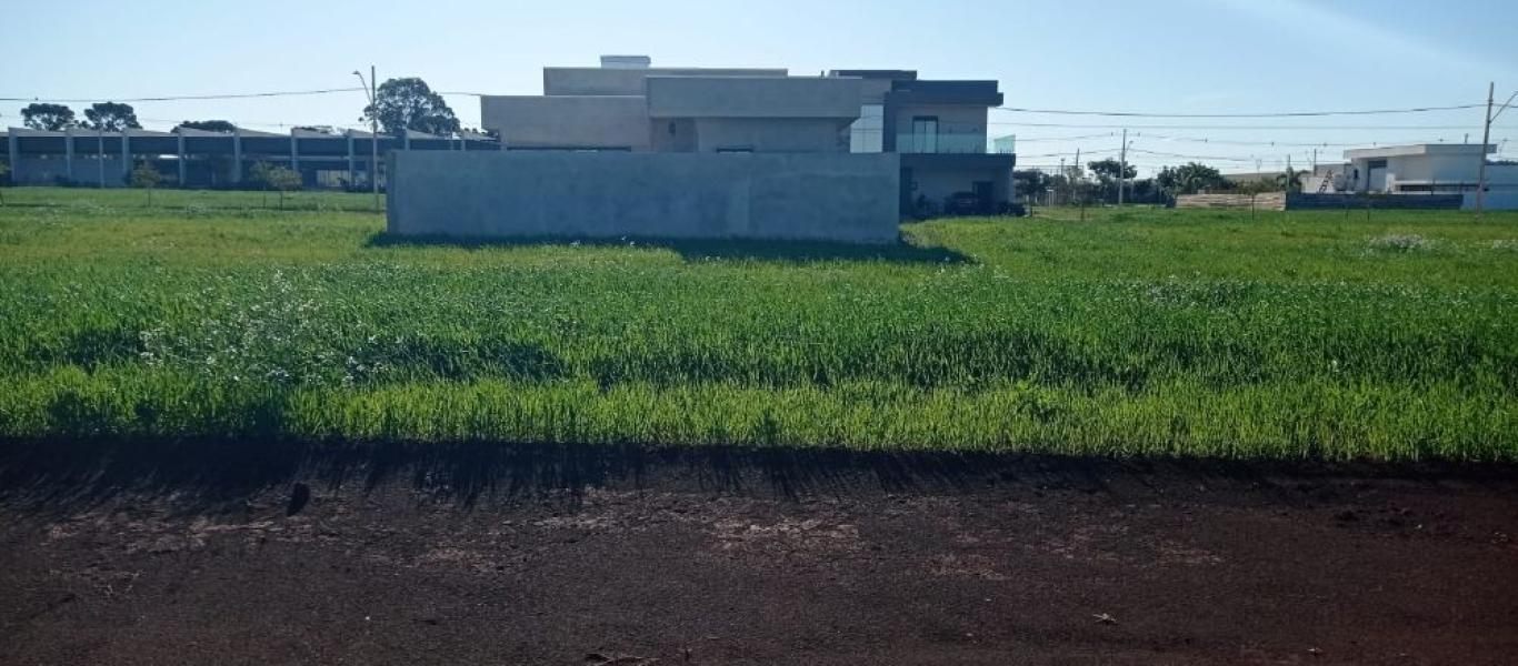 TERRENO NA TERRAS DE VITÓRIA em CÂNDIDO MOTA