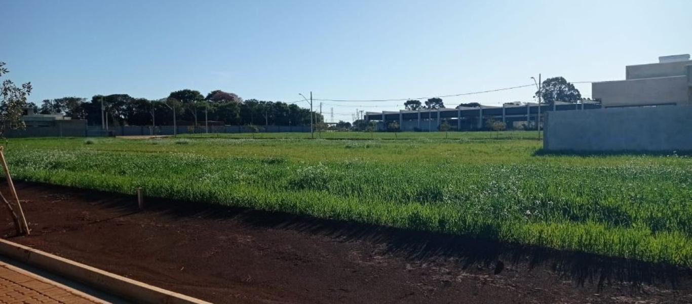 TERRENO NA TERRAS DE VITÓRIA em CÂNDIDO MOTA