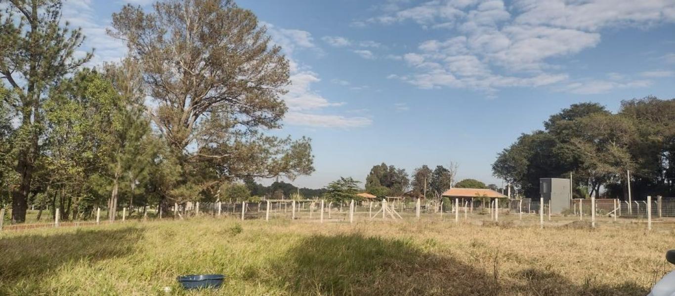 TERRENO NA CERVINHO em ASSIS