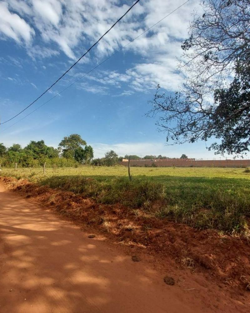 TERRENO NA ÁGUA DA PORCA em Assis