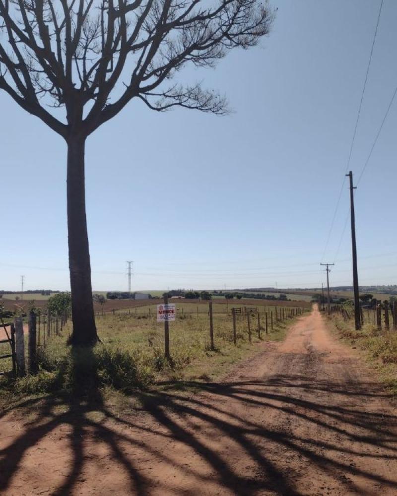 TERRENO NA RODOVIA ASSIS A PLATINA em ASSIS
