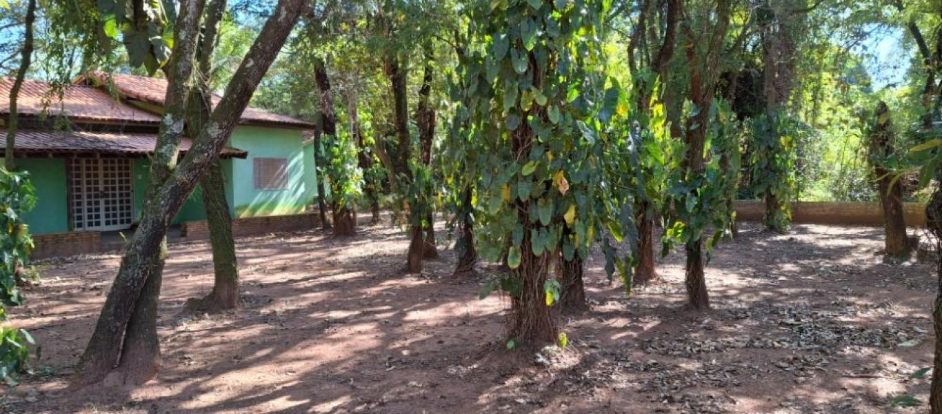 CASA NO Jardim Rezende em Assis