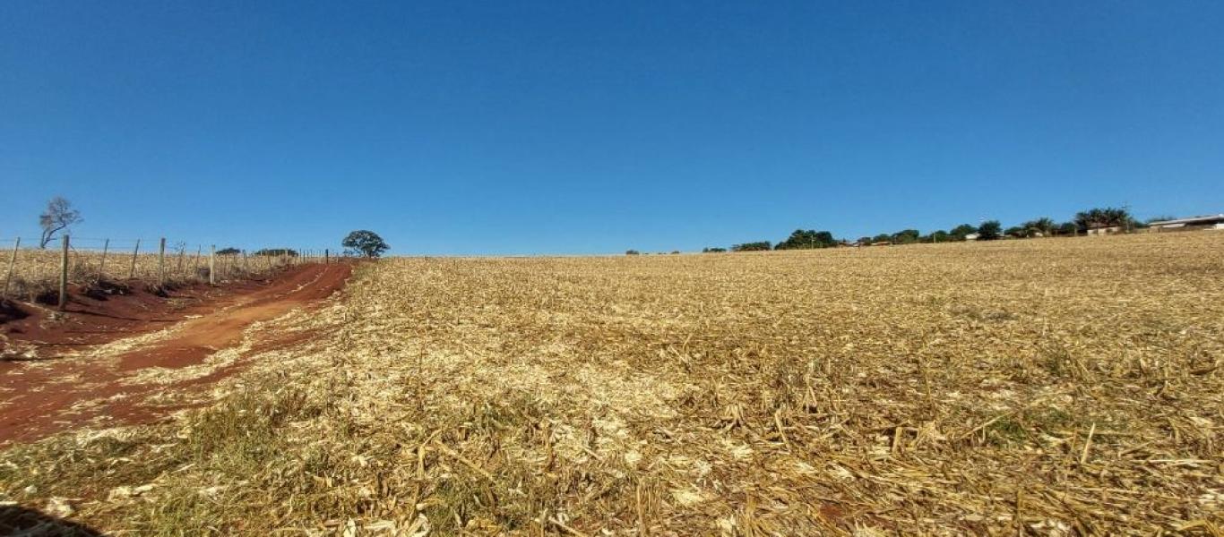TERRENO NA SANTA TEREZINHA em Maracaí