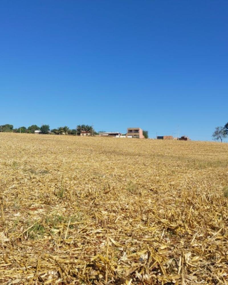 TERRENO NA SANTA TEREZINHA em Maracaí