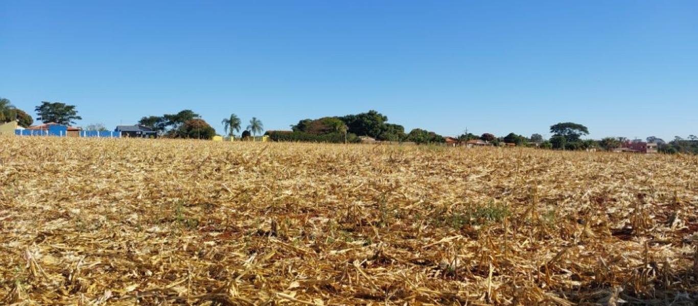 TERRENO NA SANTA TEREZINHA em Maracaí