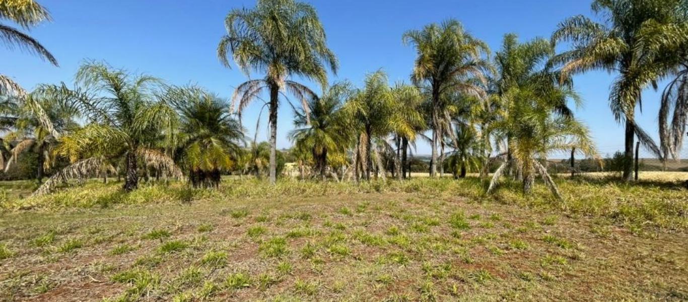 TERRENO NA PORTO ALMEIDA em Cândido Mota
