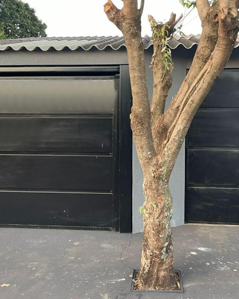 CASA NO Jardim Paraná em Assis