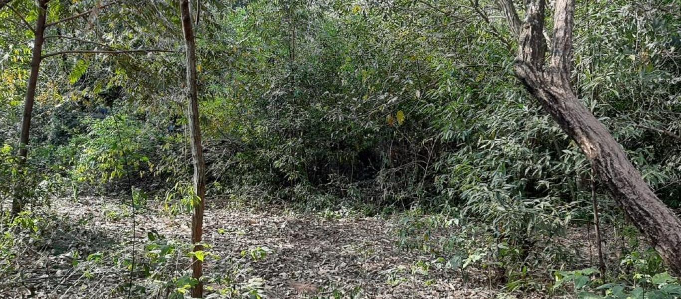 TERRENO NA Quinta dos Flamboyants em Assis