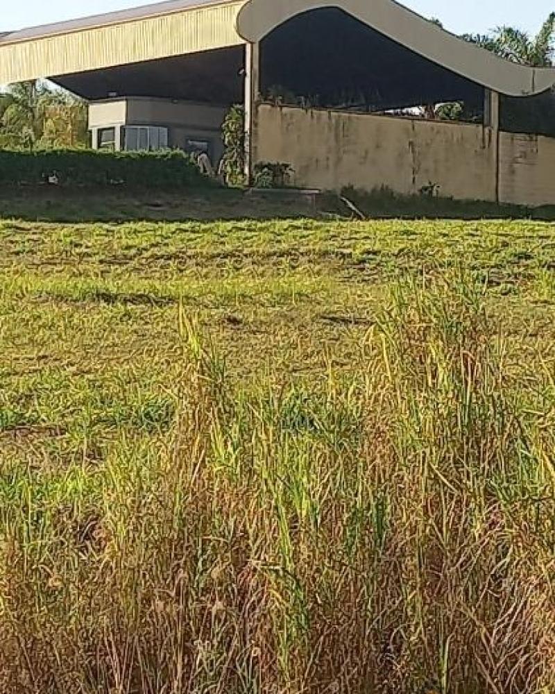 TERRENO NA PORTO ALMEIDA em CÂNDIDO MOTA