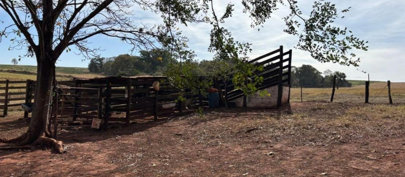 FAZENDA NA FAZENDA PAU D'ALHO em IBIRAREMA