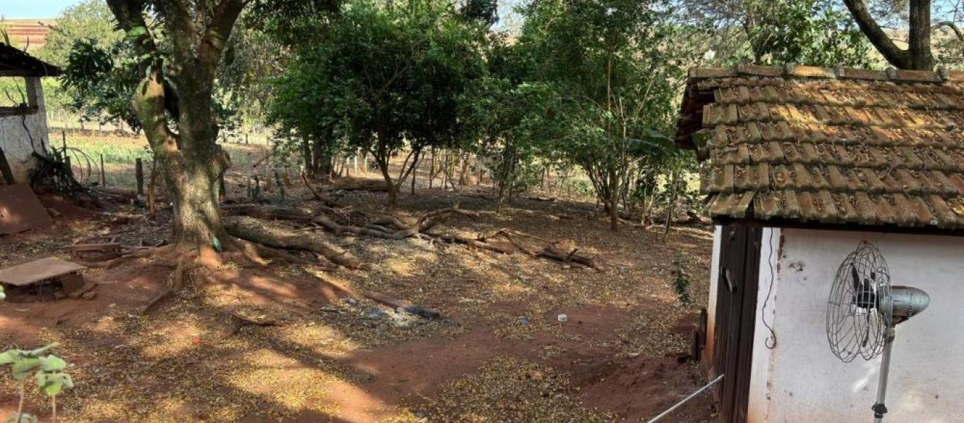FAZENDA NA FAZENDA PAU D'ALHO em IBIRAREMA