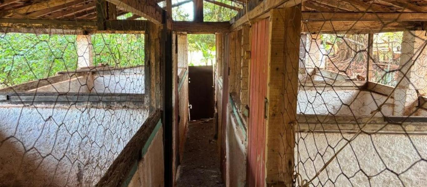 FAZENDA NA FAZENDA PAU D'ALHO em IBIRAREMA