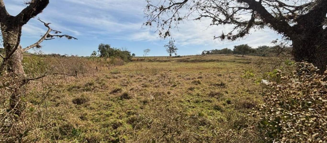 FAZENDA NA FAZENDA PAU D'ALHO em IBIRAREMA