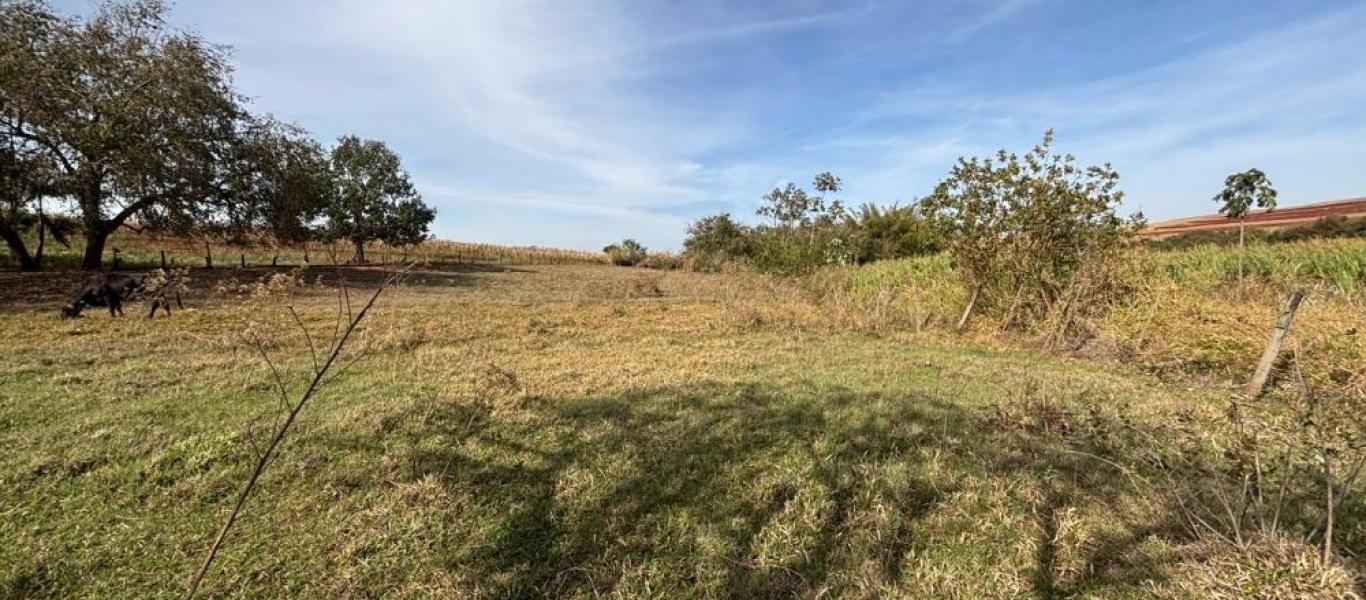FAZENDA NA FAZENDA PAU D'ALHO em IBIRAREMA
