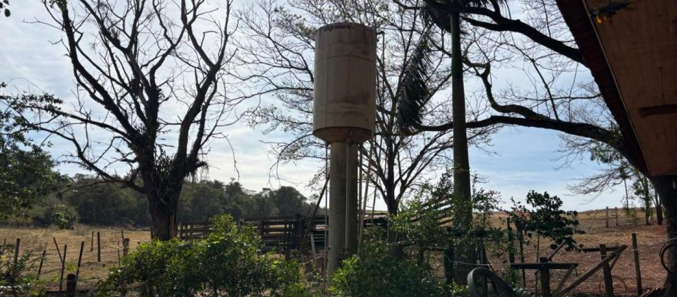 FAZENDA NA FAZENDA PAU D'ALHO em IBIRAREMA