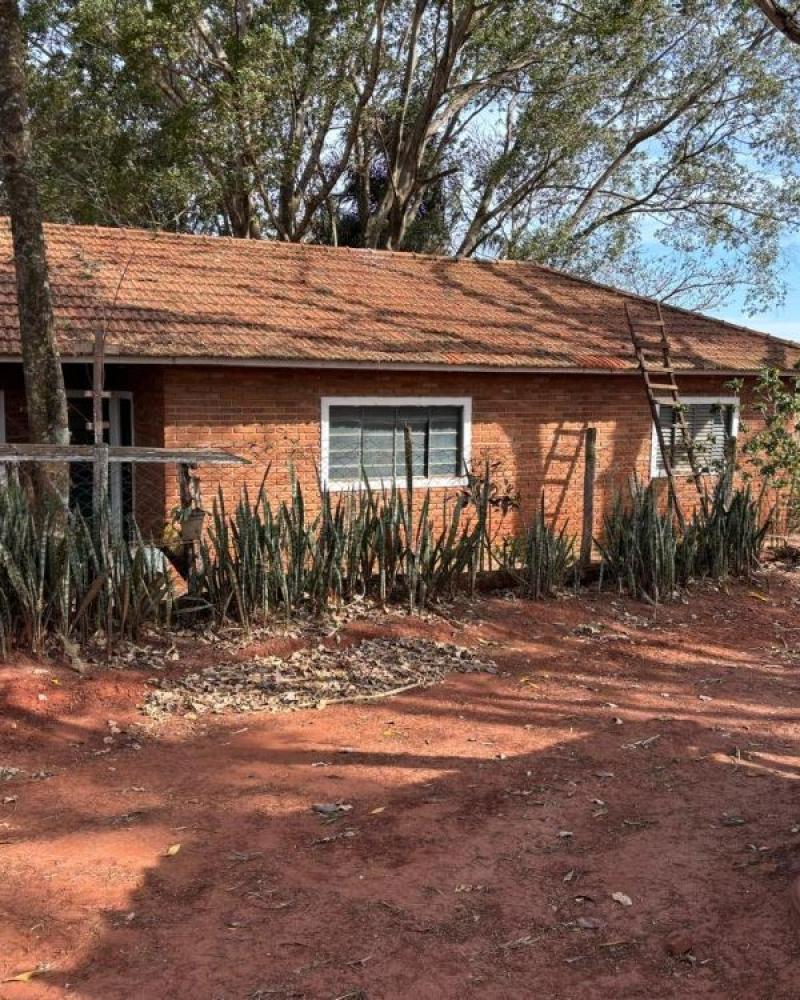FAZENDA NA FAZENDA PAU D'ALHO em IBIRAREMA