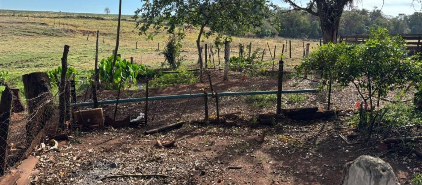 FAZENDA NA FAZENDA PAU D'ALHO em IBIRAREMA