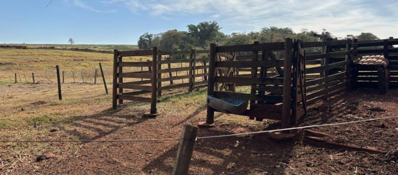 FAZENDA NA FAZENDA PAU D'ALHO em IBIRAREMA